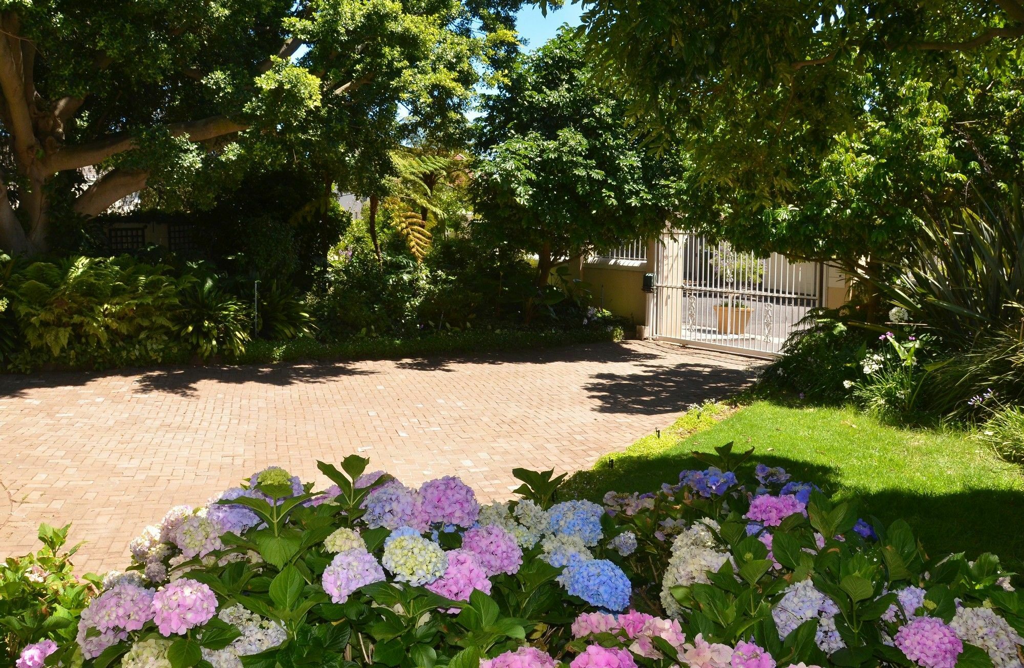Medindi Manor Hotel Cape Town Bagian luar foto